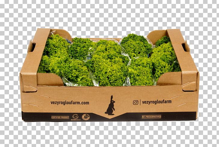 Veziroglou PNG, Clipart, Box, Brand Strategist, Farm, Grass, Herb Free PNG Download