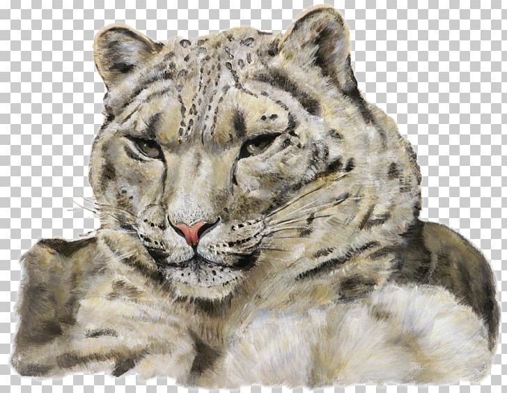 Where Snow Leopard Prowls: Wild Animals Of Tibet Tiger PNG, Clipart, Animal, Animals, Big Cats, Carnivoran, Cat Like Mammal Free PNG Download