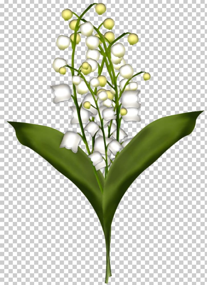 Cut Flowers Lily Of The Valley Drawing Plant Stem PNG, Clipart, Blume, Cicek, Cicekler, Cicek Resimleri, Color Free PNG Download