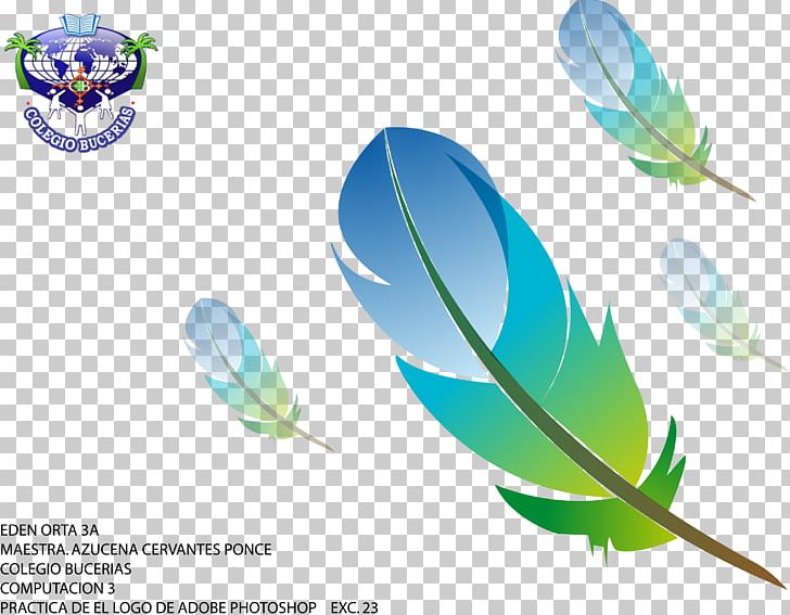 Feather Pen Logo PNG, Clipart, Adobe Systems, Animals, Arrow, Boho, Color Gradient Free PNG Download