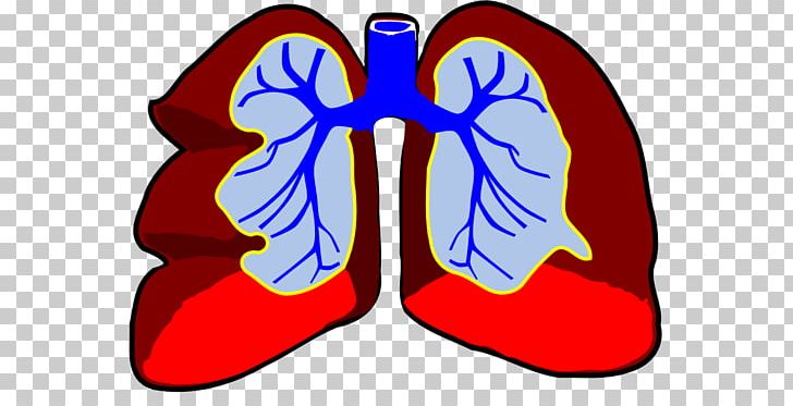 Lung Breathing Respiratory System Circulatory System PNG, Clipart, Air Pollution, Area, Artwork, Biological System, Breathing Free PNG Download
