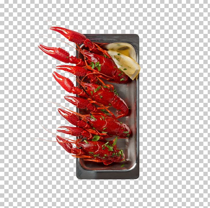 Lobster Congee Seafood Cantonese Cuisine PNG, Clipart, Animals, Bell Peppers And Chili Peppers, Black, Cantonese Cuisine, Cayenne Pepper Free PNG Download