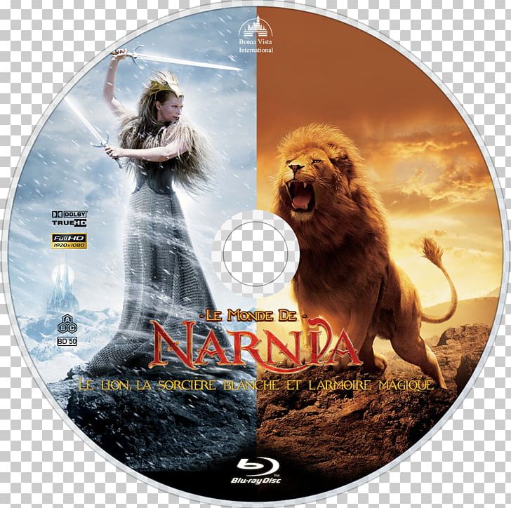 ASLAN The Chronicles of Narnia The Lion The Witch & The Wardrobe