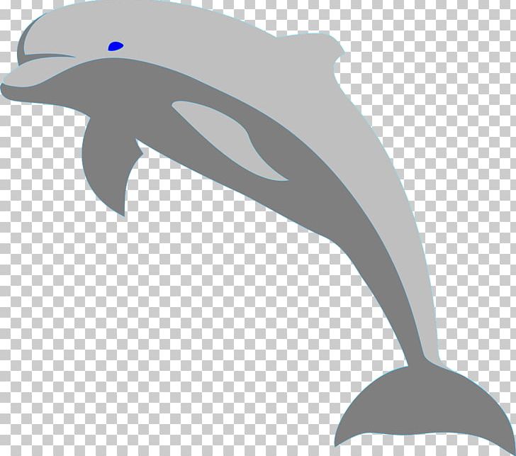 Bottlenose Dolphin PNG, Clipart, Animals, Beak, Bottlenose Dolphin, Cartoon Dolphin, Chinese White Dolphin Free PNG Download