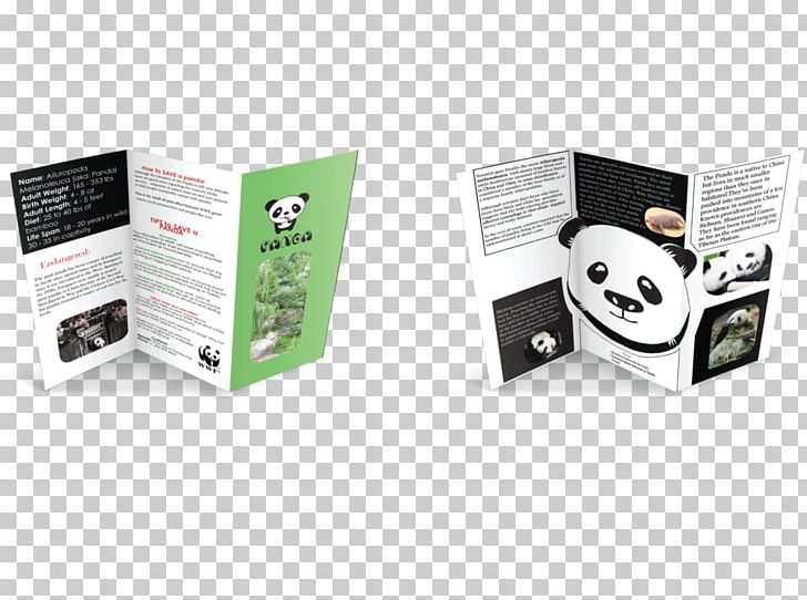 Giant Panda Information Brand PNG, Clipart, Animal, Author, Brand, Brochure, Chart Free PNG Download