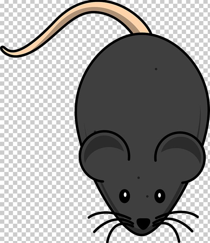 Mouse Laboratory Rat PNG, Clipart, Animals, Artwork, Black, Black And White, Black Rat Free PNG Download