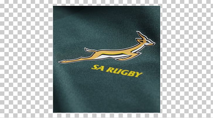 South Africa National Rugby Union Team Green Bottle ASICS PNG, Clipart, Africa, Asics, Bottle, Brand, Green Free PNG Download