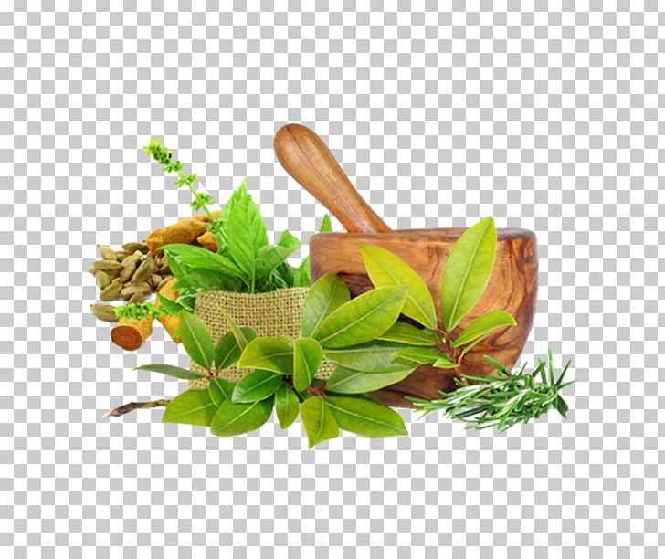 Ayurveda Medicine Therapy Health Care PNG, Clipart, Ayurveda, Ayurvedic Healing, Cure, Diabetes, Diabetes Management Free PNG Download