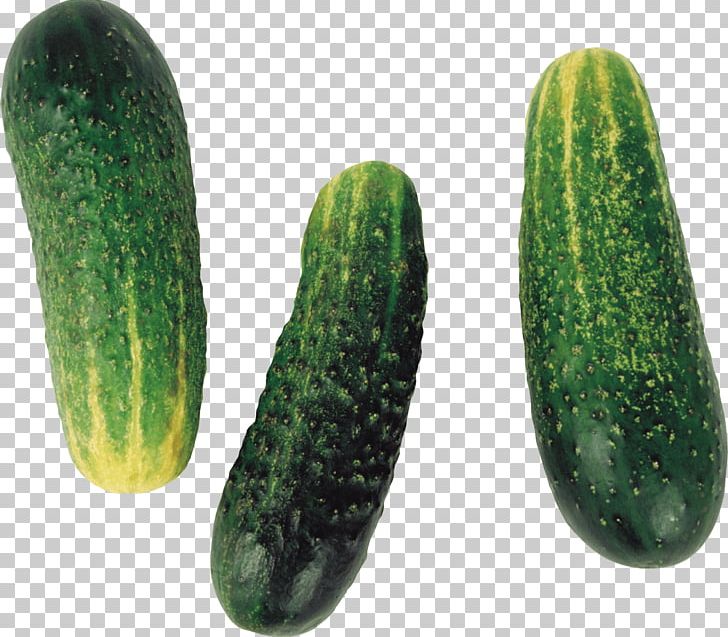 Cucumber Fruit Vegetable PNG, Clipart, Abgoals, Brined Pickles, Cucumber Gourd And Melon Family, Cucumis, Digital Image Free PNG Download