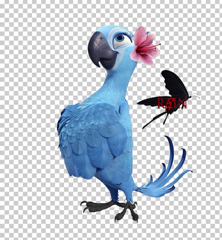 GIF Animation Giphy Gfycat PNG, Clipart, Afternoon, Animation, Beak, Bird, Carlos Free PNG Download