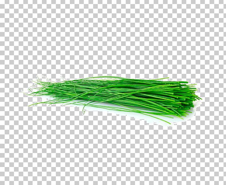 Green PNG, Clipart, Augardente De Herbas, Grass, Grass Family, Green, Others Free PNG Download