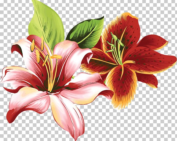 Hemerocallis Fulva Tiger Lily Flower PNG, Clipart, Callalily, Clip Art, Color, Coloring Book, Cut Flowers Free PNG Download