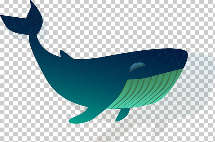 Shark Cetacea Fish Blue Whale PNG, Clipart, Animals, Big Shark, Blue Whale, Cartoon Shark, Cetacea Free PNG Download