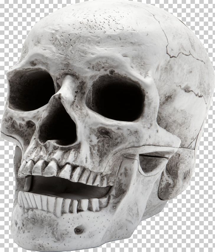 Skull PNG, Clipart, Alcool, Anatomy, Away, Black And White, Bone Free PNG Download