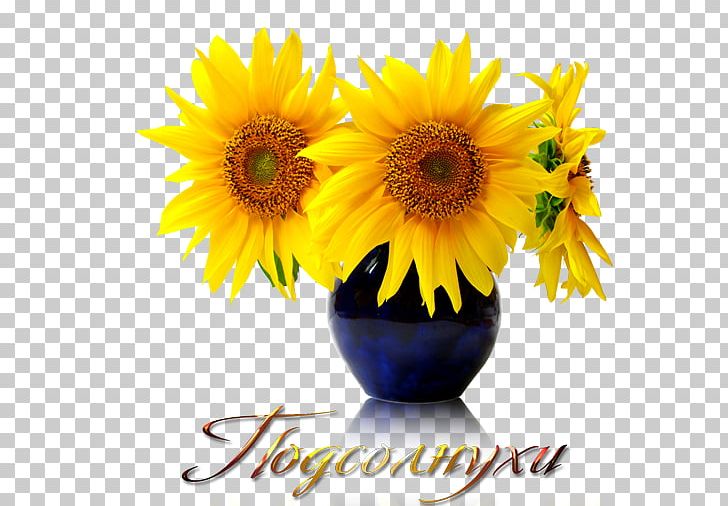 Common Sunflower Sunflower Seed PNG, Clipart, Business, Common Sunflower, Cut Flowers, Daisy Family, Flower Free PNG Download