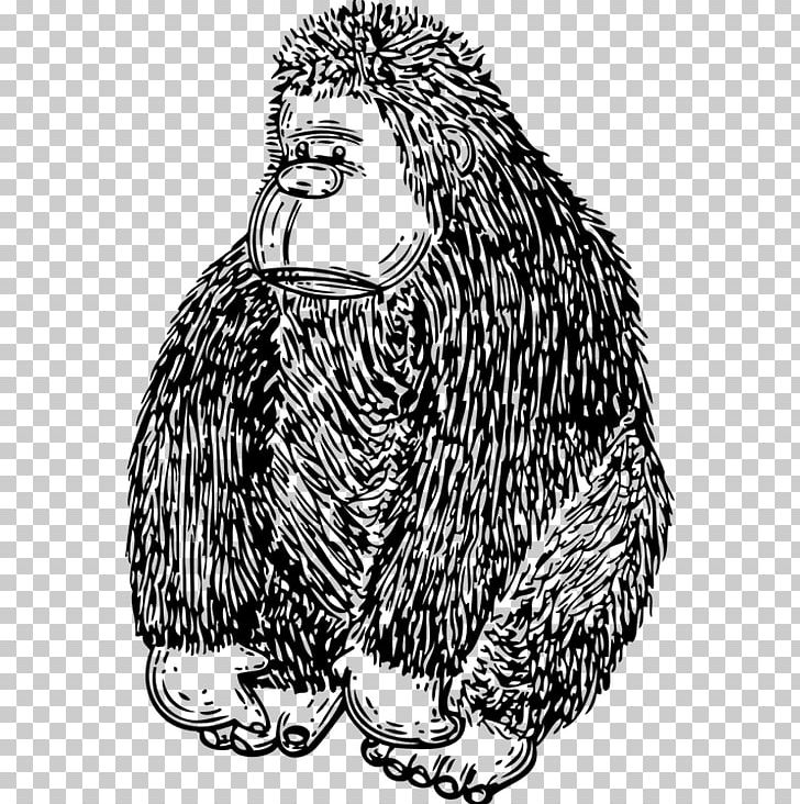 Gorilla Free Content PNG, Clipart, Animals, Art, Bird, Black, Black Hair Free PNG Download
