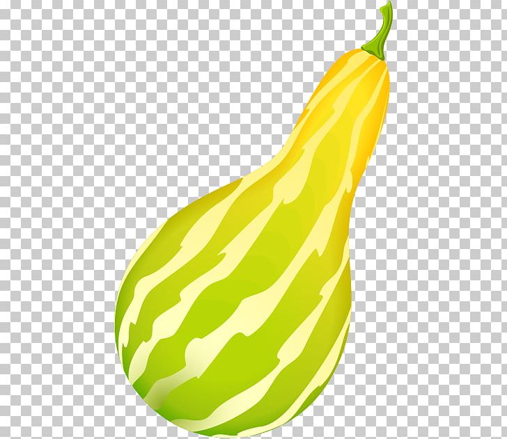 Gourd Winter Squash Pear Melon PNG, Clipart, Cucumber Gourd And Melon Family, Cucurbita, Food, Fruit, Gourd Free PNG Download