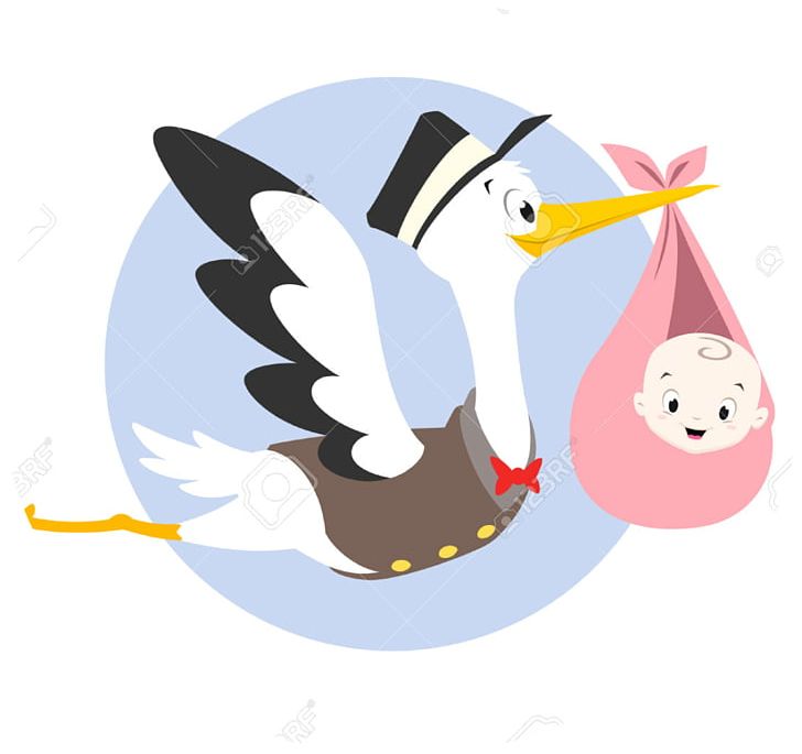 Infant Stork PNG, Clipart, 123rf, Animals, Beak, Bird, Cartoon Free PNG Download