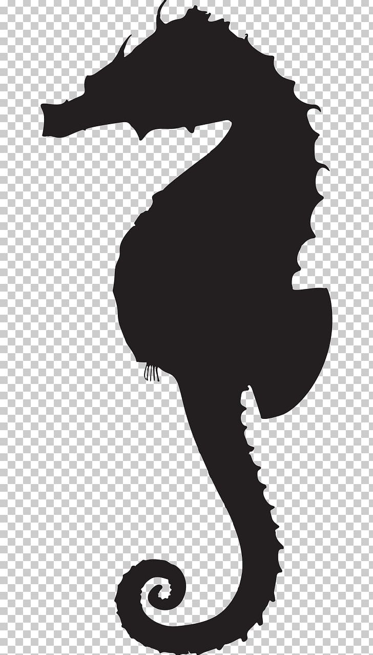 Seahorse Silhouette PNG, Clipart, Animal, Animals, Animal Silhouettes, Art, Black And White Free PNG Download
