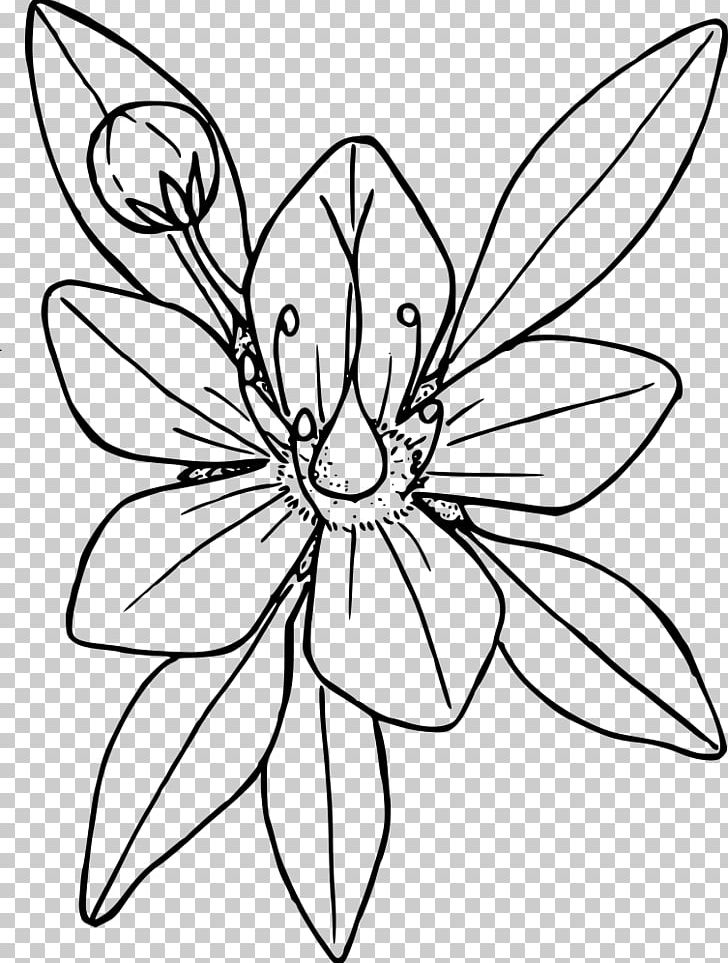 Coloring Book Flower Line Art Drawing PNG, Clipart, Adult, Area, Art, Brush Footed Butterfly, Cartoon Free PNG Download