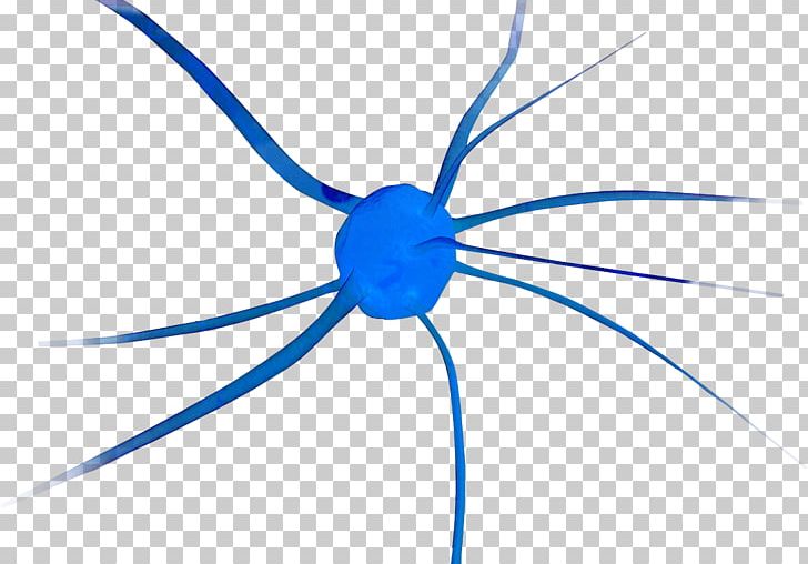 Line Point PNG, Clipart, Art, Blue, Circle, Line, Neuron Free PNG Download