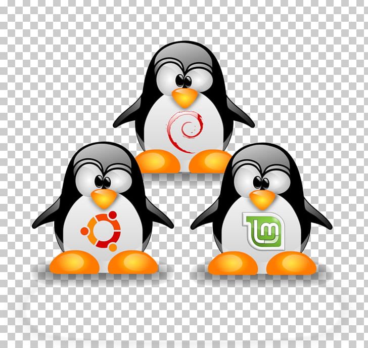 Linux Kernel Ubuntu Operating Systems Linux Distribution PNG, Clipart, Beak, Bird, Computer, Flightless Bird, Free And Opensource Software Free PNG Download