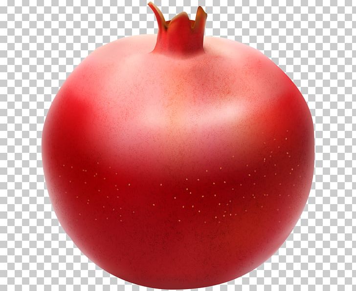 Pomegranate Fruit PNG, Clipart, Apple, Auglis, Blog, Bush Tomato, Christmas Ornament Free PNG Download