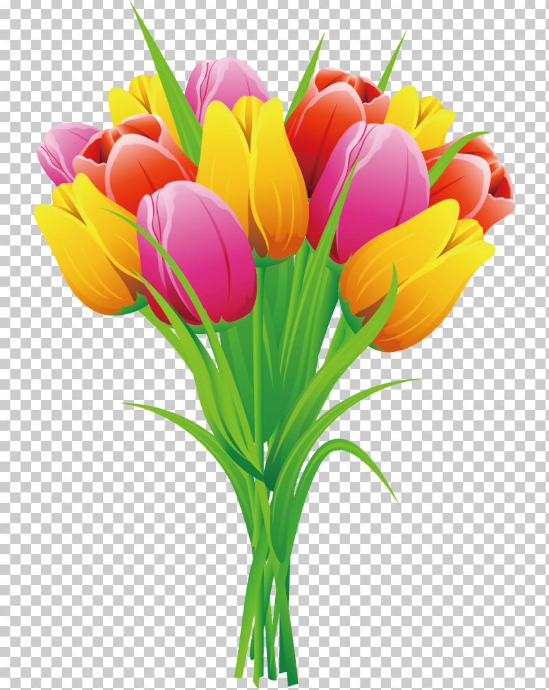 Tulip Bouquet Flower Bouquet Flower Bunch PNG, Clipart, Bouquet, Crocus, Cut Flowers, Flower, Flower Bouquet Free PNG Download