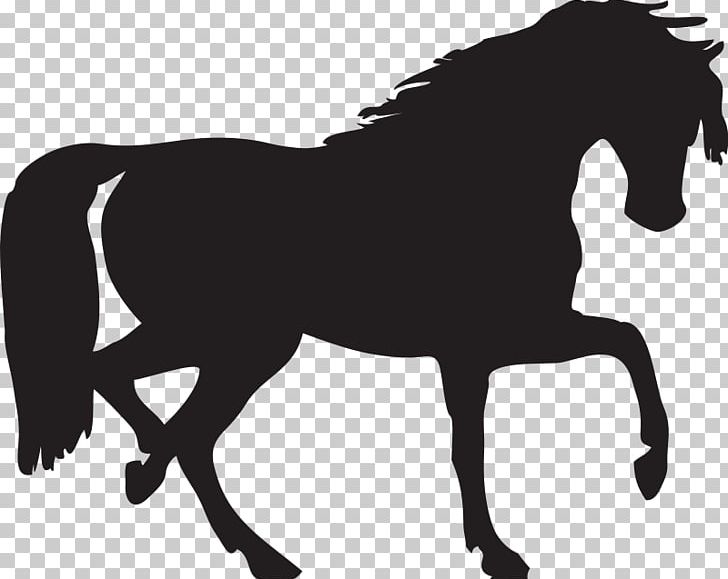 Arabian Horse Mustang Silhouette PNG, Clipart, Arabian Horse, Black, Black And White, Bridle, Colt Free PNG Download