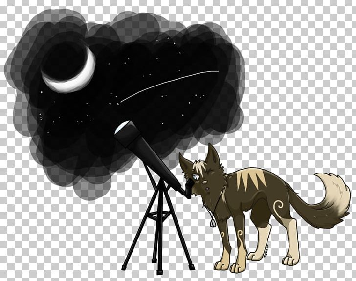 Cat Dog Horse YouTube Mammal PNG, Clipart, Animals, Art, Astronomy, Canidae, Carnivoran Free PNG Download