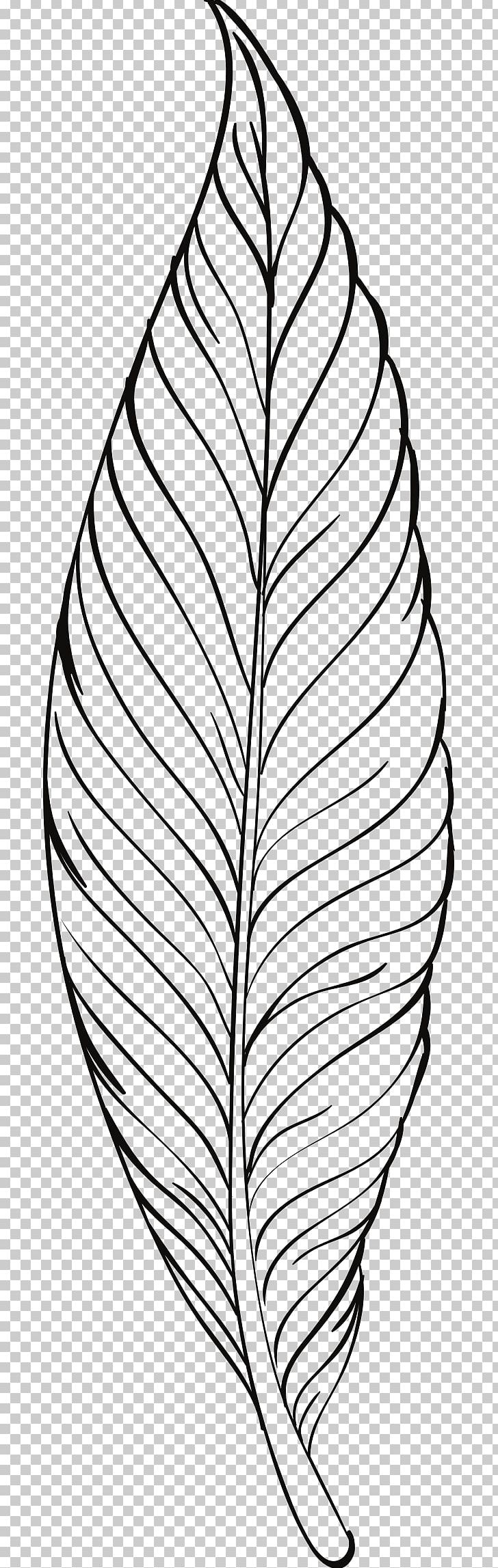 Lovebird Feather Drawing PNG, Clipart, Angle, Animals, Area, Art Line, Bird Free PNG Download