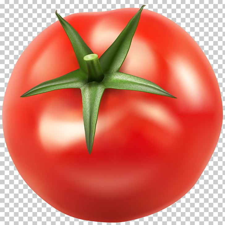 Vegetable Bush Tomato Food PNG, Clipart, Apple, Bush Tomato, Cherry Tomato, Food, Fruit Free PNG Download