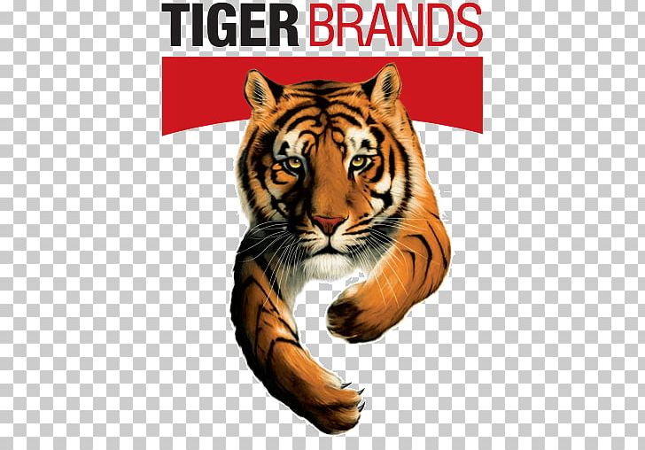 2017–18 South African Listeriosis Outbreak Tiger Brands Chief Executive PNG, Clipart, Big Cats, Carnivoran, Cat Like Mammal, Class Action, Company Free PNG Download