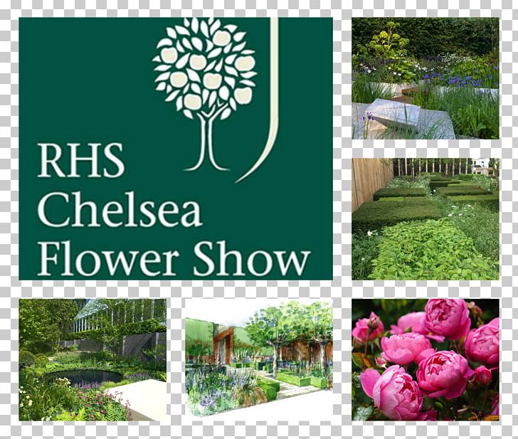 Chelsea Flower Show Grassform Royal Hospital Chelsea Royal Horticultural Society PNG, Clipart, Chelsea, Chelsea Academy, Chelsea Flower Show, Collage, Flooring Free PNG Download