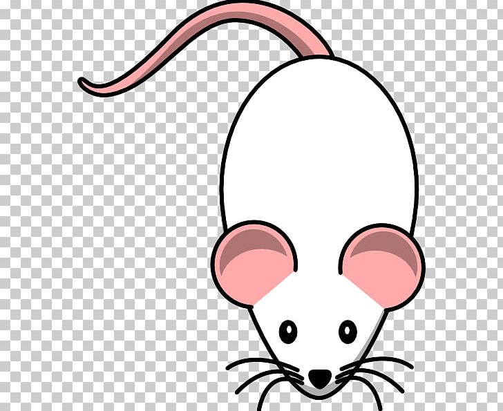 Computer Mouse PNG, Clipart, Artwork, Carnivoran, Cat, Cat Like Mammal, Computer Free PNG Download