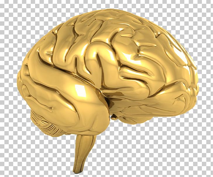 Human Brain Agy Cognitive Training PNG, Clipart, Agy, Brain, Cognitive Training, Effect, Euclidean Vector Free PNG Download