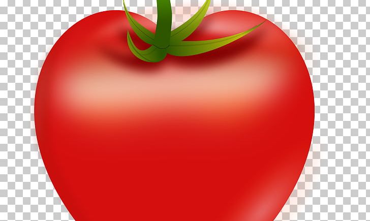 Plum Tomato Heart Graphics Euclidean PNG, Clipart, Apple, Bell Peppers And Chili Peppers, Bush Tomato, Computer Icons, Diet Food Free PNG Download