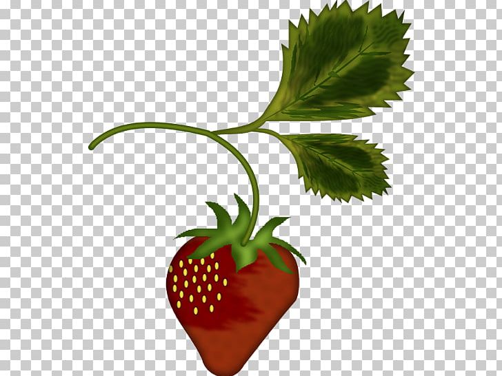 Strawberry Tree Shortcake PNG, Clipart, Cherry, Drawing, Flower, Flowerpot, Food Free PNG Download