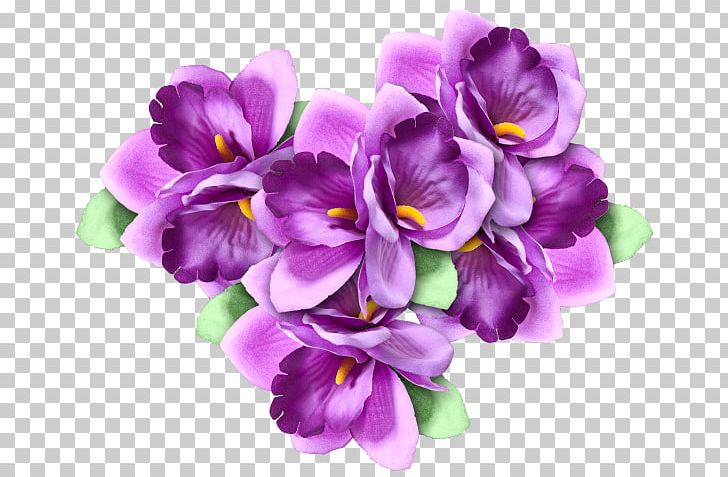 GIMP Rose Adobe Animate Cut Flowers PNG, Clipart, 2017, Adobe Flash Player, Attitude, Computer, Creative Addictions Free PNG Download