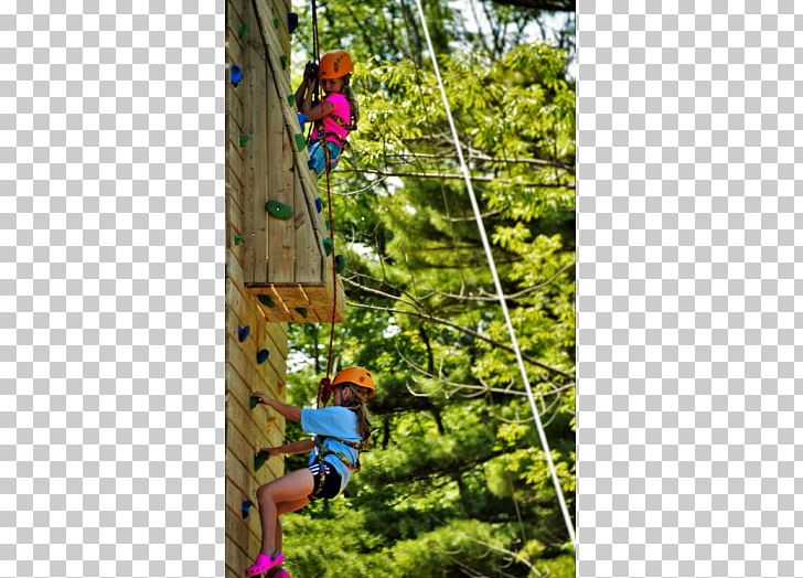 Playground Climbing Wall Coral Crater Adventure Park New Zealand Alpine Club PNG, Clipart, Adventure, Amusement Park, Climbing Wall, Coral Crater Adventure Park, Grass Free PNG Download