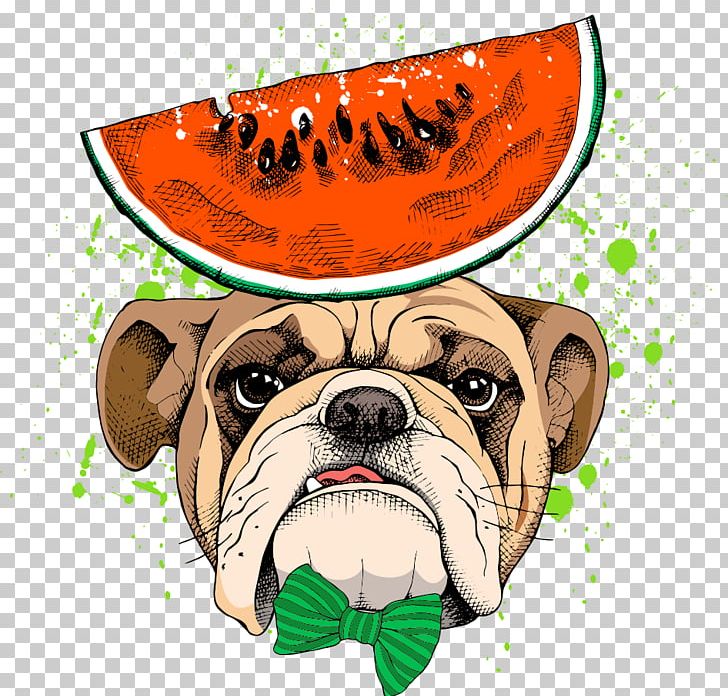 Pug Pet PNG, Clipart, Animal, Bulldog, Carnivoran, Cartoon Animals, Cartoon Dog Free PNG Download