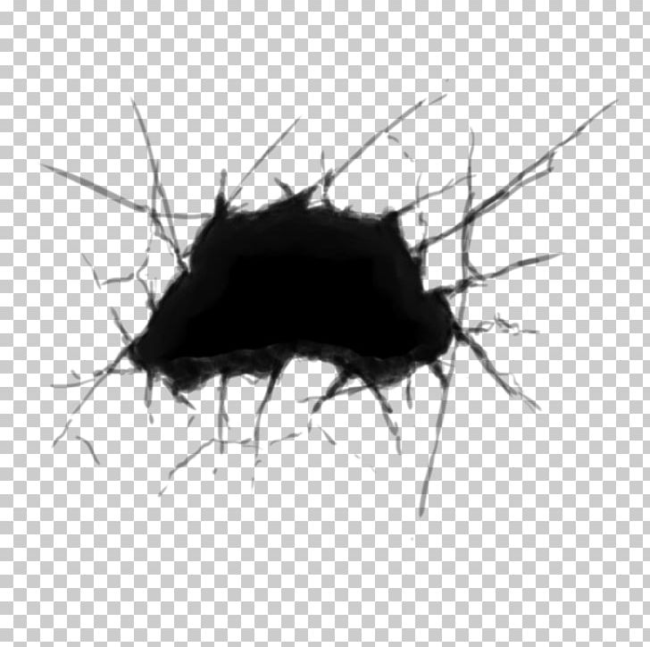 Beetle Graphics Concept Art Two-dimensional Space Draw Ever Nearer PNG, Clipart, 2d Computer Graphics, Art, Arthropod, Beetle, Black Free PNG Download