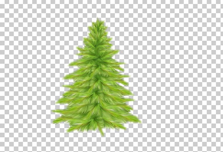 Christmas Tree Spruce Fir PNG, Clipart, Autumn Tree, Christmas, Christmas Decoration, Christmas Ornament, Christmas Tree Free PNG Download