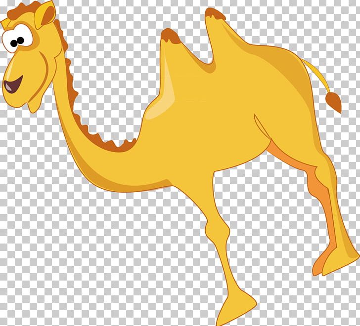 Dromedary Yellow PNG, Clipart, Adobe Illustrator, Animals, Arabian Camel, Camel Like Mammal, Camel Vector Free PNG Download