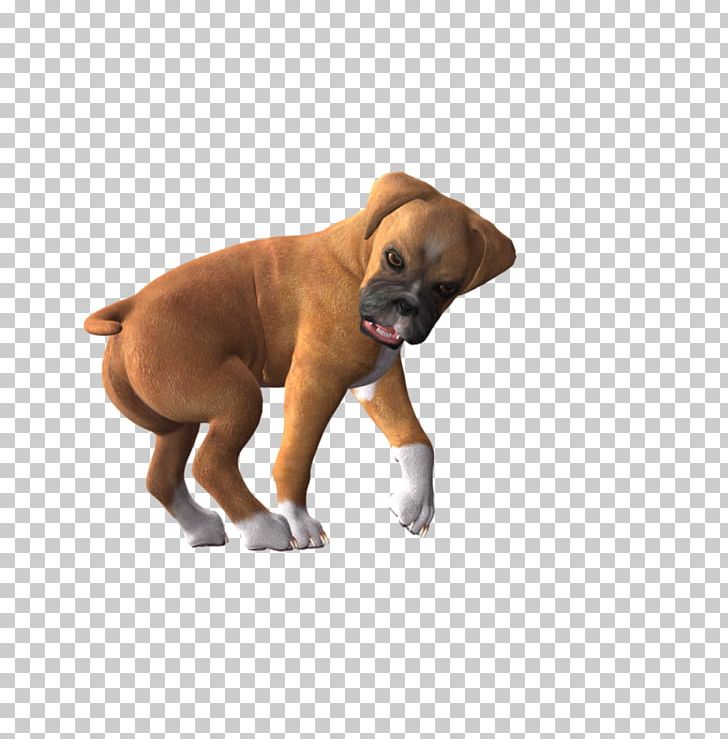 Puppy Boxer Hovawart Pug Black Mouth Cur PNG, Clipart, Animal, Animals, Black Mouth Cur, Boxer, Canidae Free PNG Download