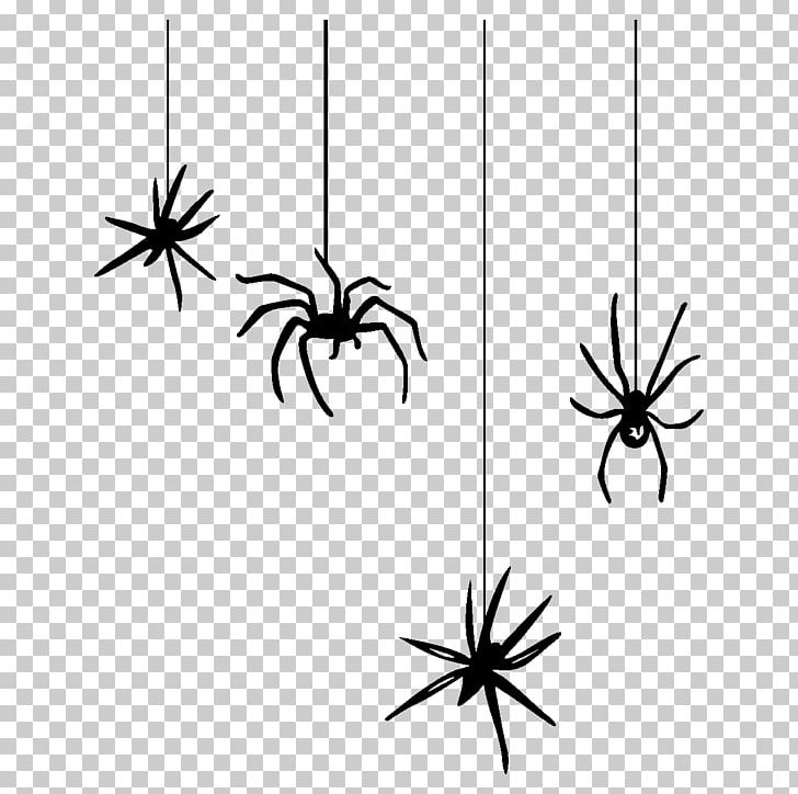 Spider Web PNG, Clipart, Animal, Arachnid, Armed Spiders, Arthropod, Black And White Free PNG Download