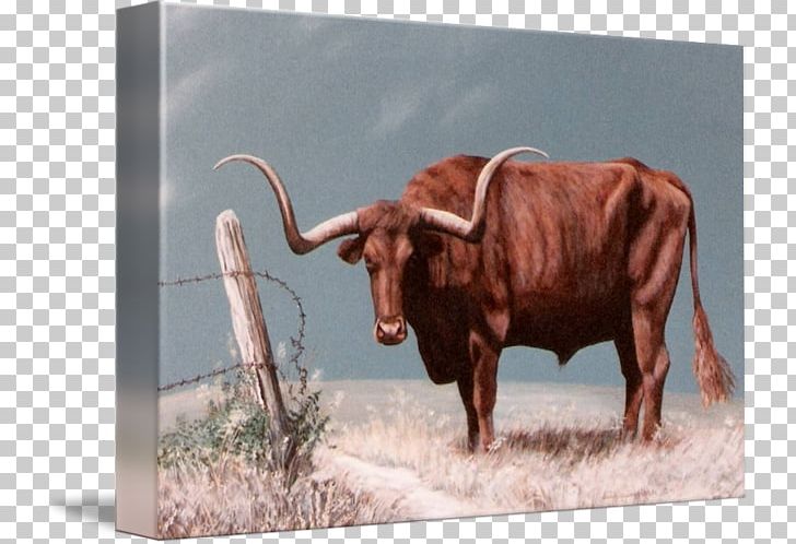 Texas Longhorn English Longhorn Calf Paper Printing PNG, Clipart, Art, Bull, Calf, Canvas, Canvas Print Free PNG Download
