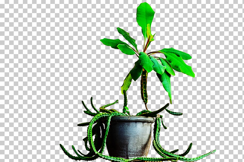 Plant Stem Leaf Flowerpot Flower Tree PNG, Clipart, Biology, Flower, Flowerpot, Leaf, Mtree Free PNG Download