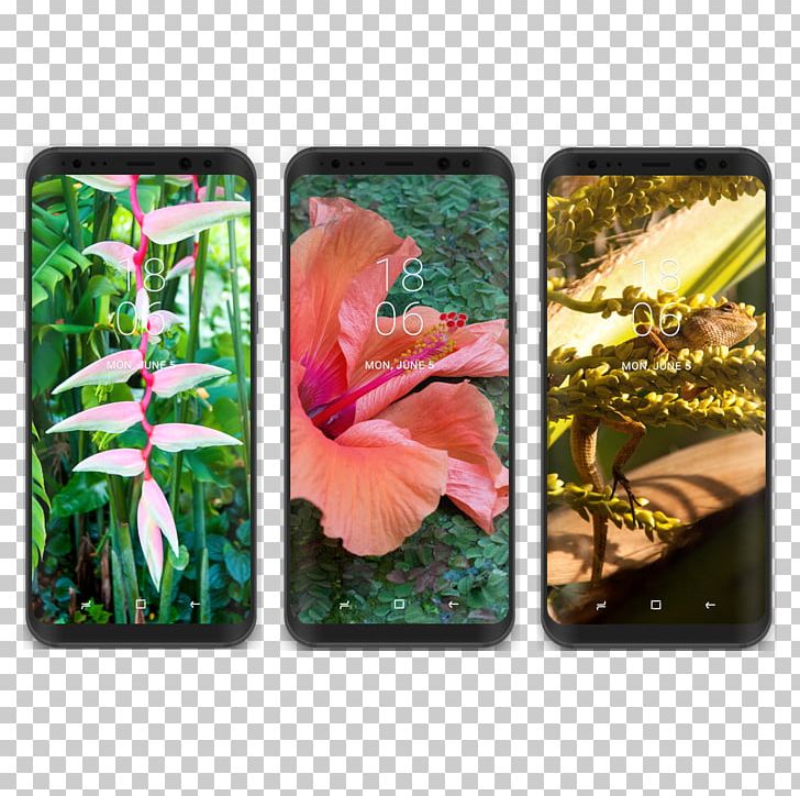Samsung Galaxy S8+ Desktop PNG, Clipart, Apartment, Desktop Wallpaper, Flora, Flower, House Free PNG Download