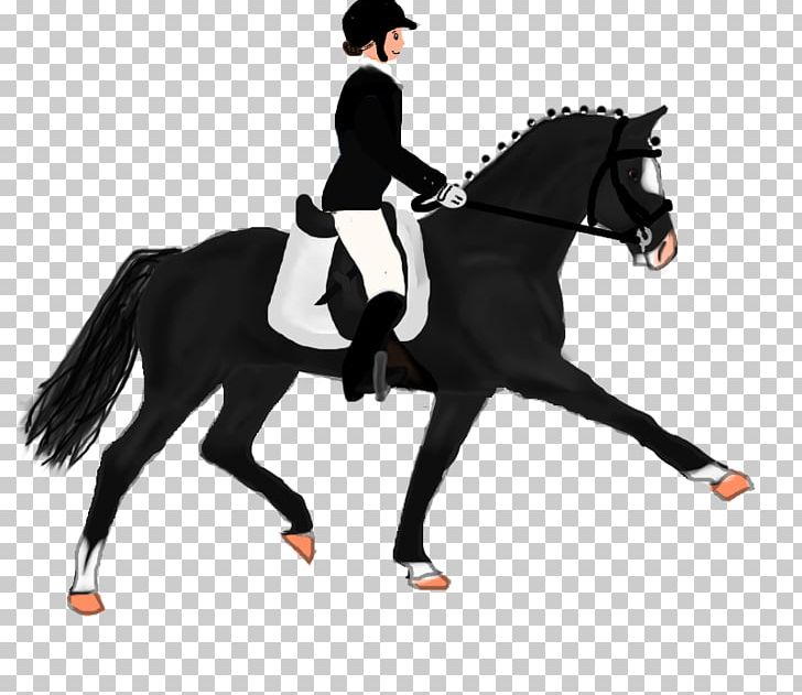 Dressage Stallion Mustang Hunt Seat Rein PNG, Clipart, Animal Training, Bit, Dressage, English Riding, Equestrian Free PNG Download